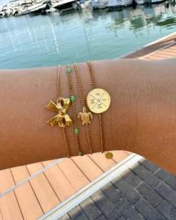 Finaste Armband met schildpad goudkleurig Fashion
