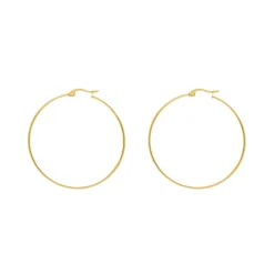 Finaste Big hoop earrings goldplated Fashion