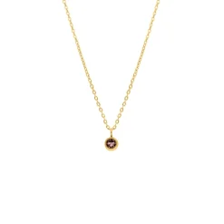 Finaste Birthstone Ketting Goudkleurig Outlet