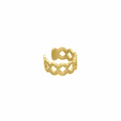 Finaste Ear cuff ruitjes goud kleurig Hot
