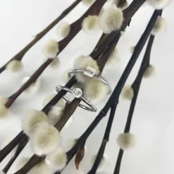 Finaste Graveerbare minimalistische ring met muntje Hot