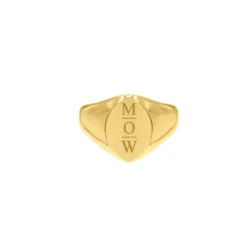 Finaste Grote zegelring 3 letters goud kleurig Clearance