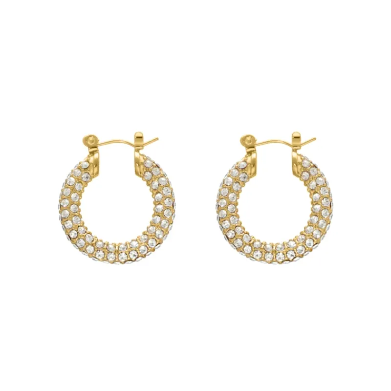 Finaste Influencer stone earrings goldplated Best
