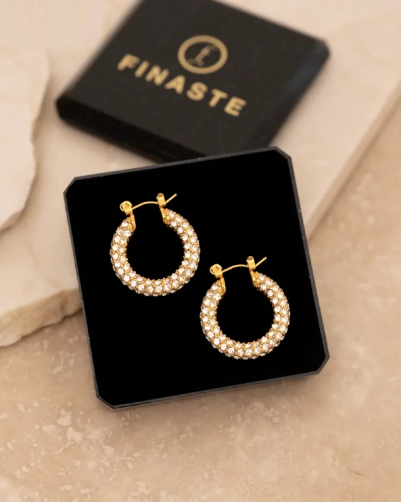 Finaste Influencer stone earrings goldplated Best