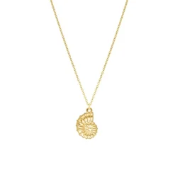 Finaste Lange ketting schelp goudkleurig Hot