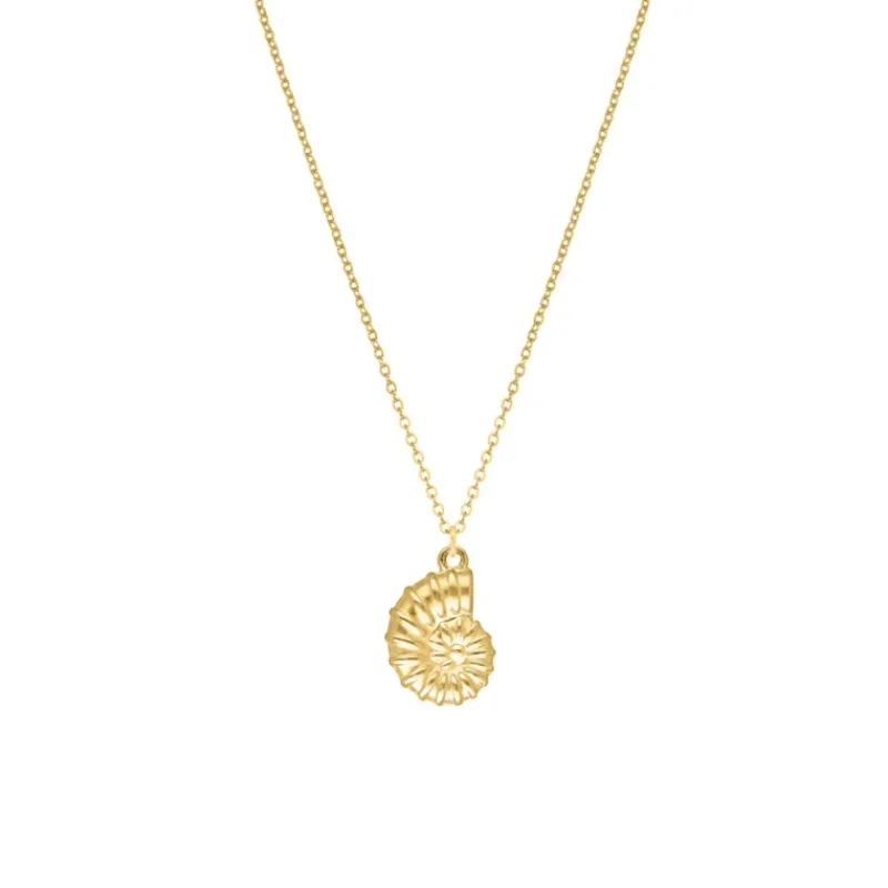 Finaste Lange ketting schelp goudkleurig Hot