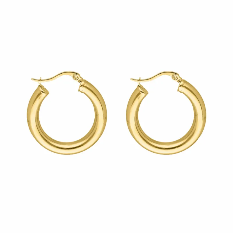 Finaste Musthave oorringen kleur goud Outlet