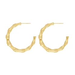 Finaste Oorbellen bamboo chic goudkleurig Fashion