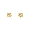 Finaste Oorknopjes champagne stone goudkleurig New