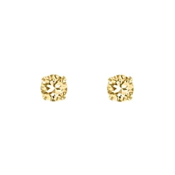 Finaste Oorknopjes champagne stone goudkleurig New