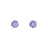 Finaste Oorknopjes purple stone goudkleurig New
