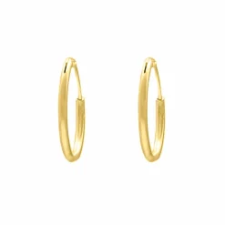 Finaste Oorringetjes Sterling Zilver 20 mm Verguld Discount