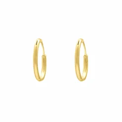 Finaste Oorringetjes Sterling Zilver 14 mm Verguld Best