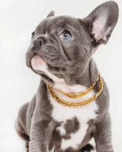 Finaste Plat kettinkje goud kleurig Fashion