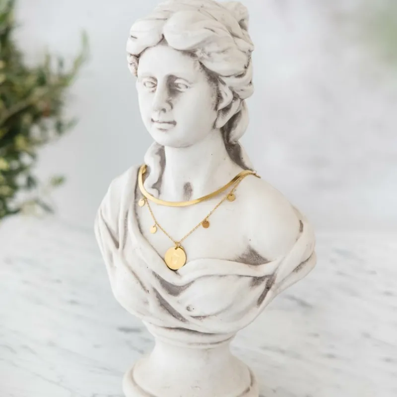 Finaste Platte Choker ketting gold plated Clearance