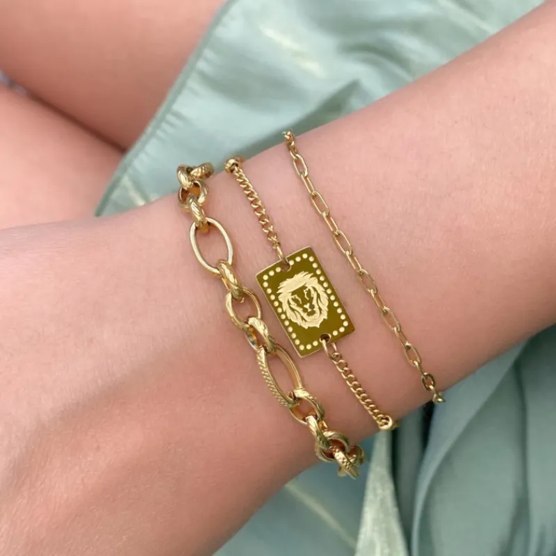 Finaste Schakelarmband mix goud kleurig Fashion