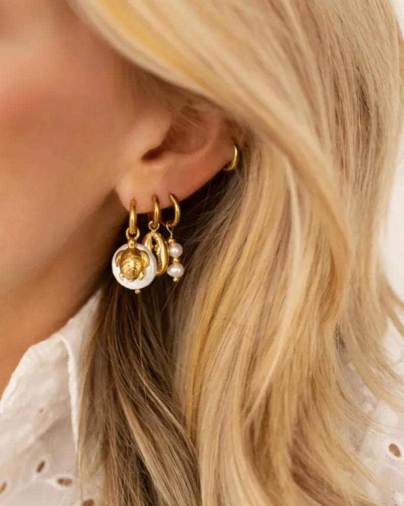 Finaste Schelp oorringetjes goudkleurig Fashion