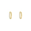 Finaste Shiny oorringetjes 10 mm goudkleurig New