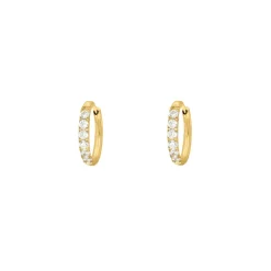 Finaste Shiny oorringetjes 10 mm goudkleurig New