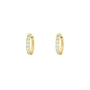 Finaste Shiny oorringetjes mint 10 mm goudkleurig Fashion