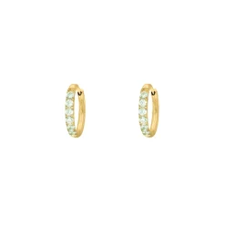 Finaste Shiny oorringetjes mint 10 mm goudkleurig Fashion