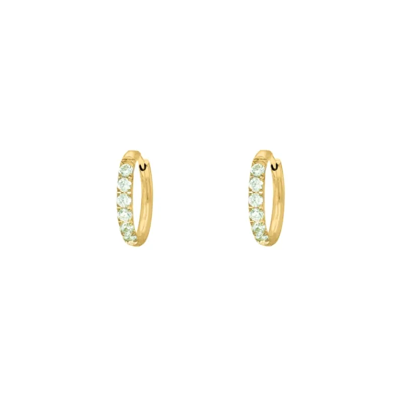 Finaste Shiny oorringetjes mint 10 mm goudkleurig Fashion