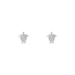 Finaste Stud oorbellen schildpad Fashion