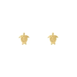 Finaste Stud oorbellen schildpad goudkleurig Clearance