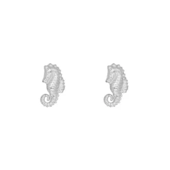 Finaste Stud oorbellen zeepaardje Outlet