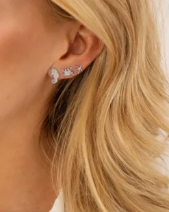 Finaste Stud oorbellen zeester New