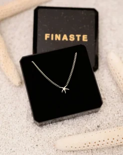 Finaste Zeester ketting Best