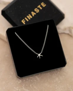 Finaste Zeester ketting Best