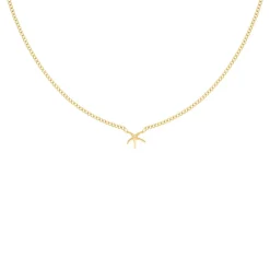 Finaste Zeester ketting goudkleurig Sale