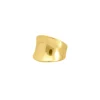 Finaste Zegelring big goud kleurig New